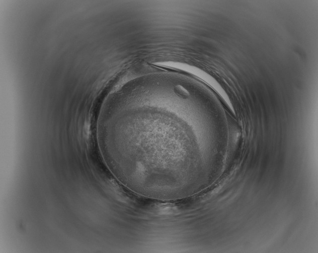 X0000113590424200909251140