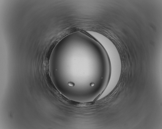 X0000113590425200909251140