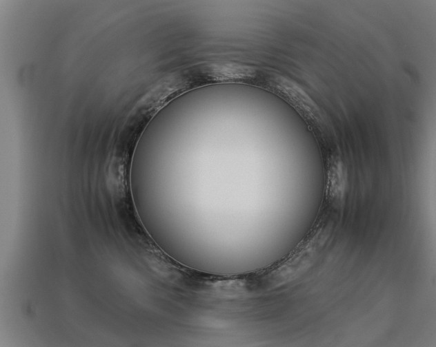 X0000113590426200909251140