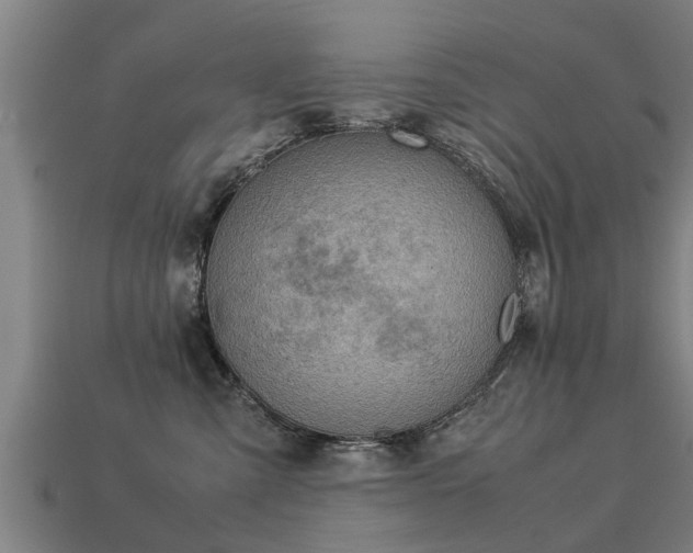 X0000113590427200909251140