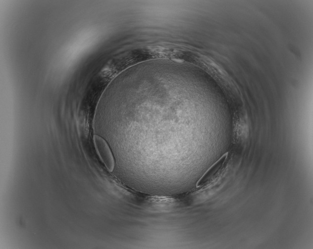 X0000113590429200909251139