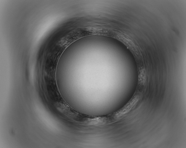 X0000113590430200909251139