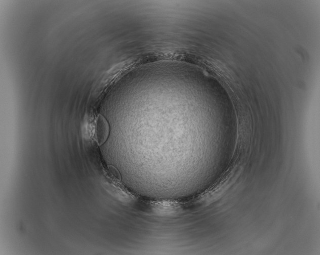 X0000113590432200909251139