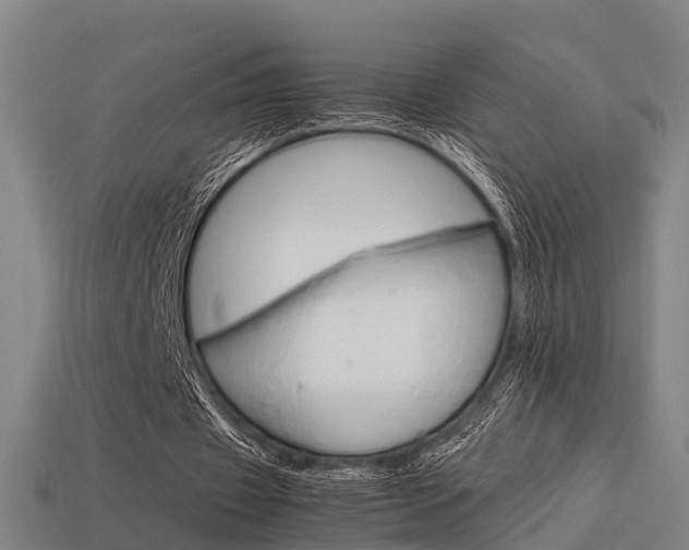 X0000113590433200909251139