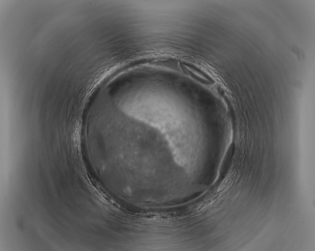 X0000113590434200909251139