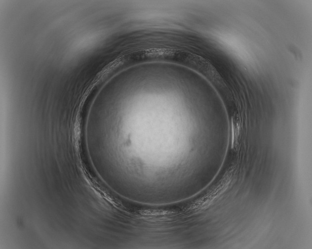 X0000113590435200909251139