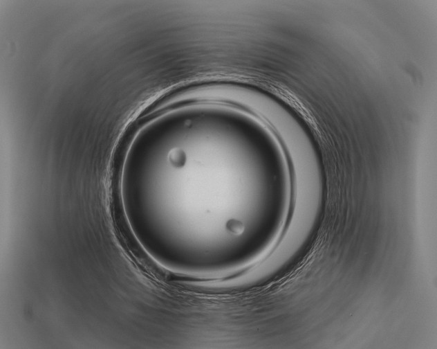 X0000113590436200909251139