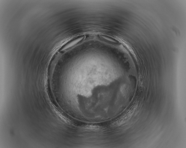 X0000113590437200909251139