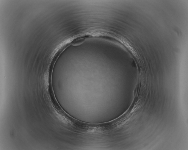 X0000113590438200909251139