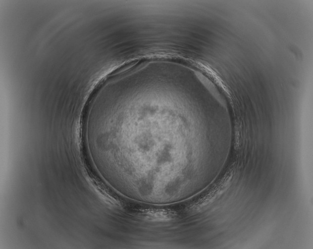 X0000113590439200909251139