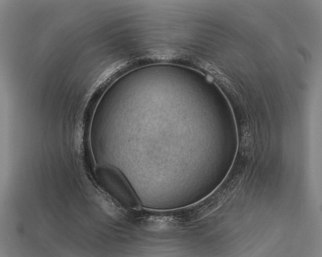 X0000113590440200909251139