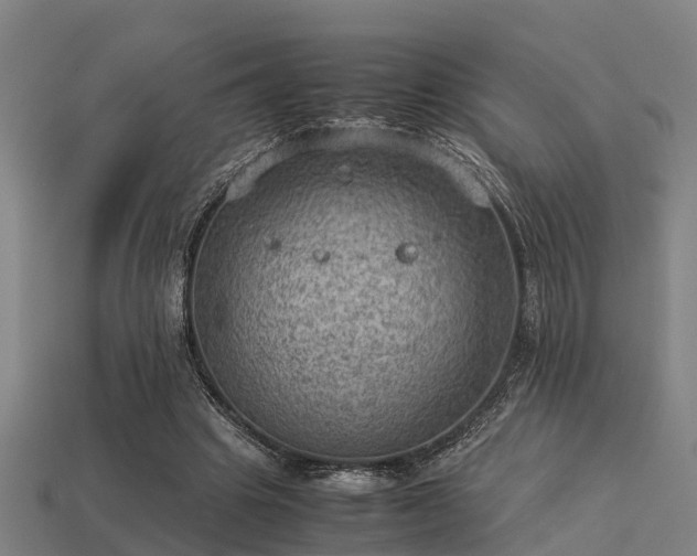 X0000113590441200909251139