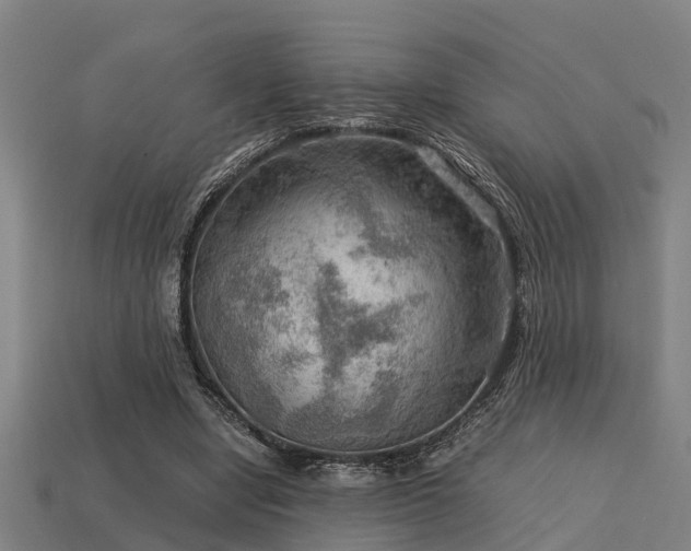 X0000113590442200909251139