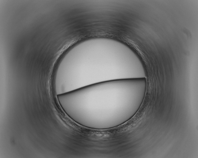 X0000113590443200909251139