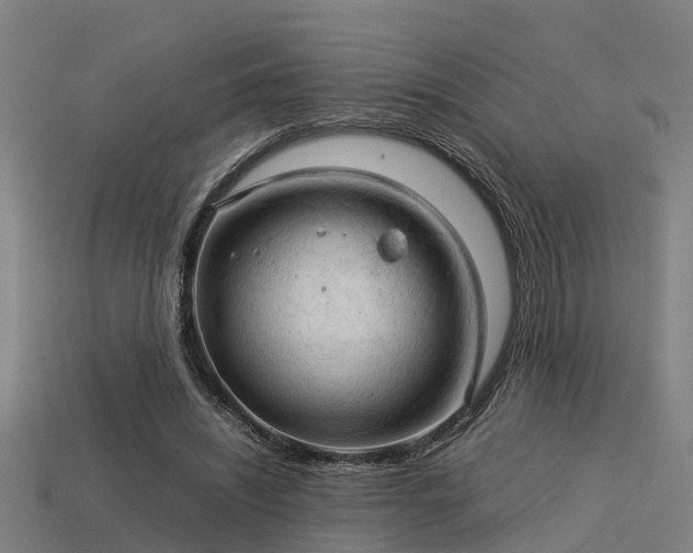 X0000113590444200909251139