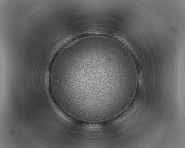 X0000113590445200909251139