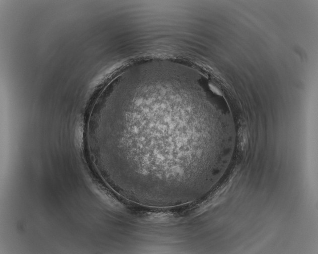 X0000113590446200909251139