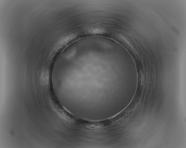 X0000113590447200909251139