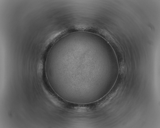 X0000113590448200909251139