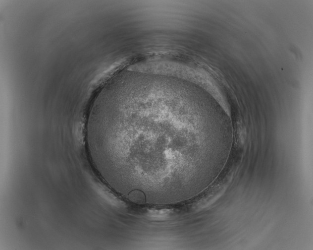 X0000113590450200909251139