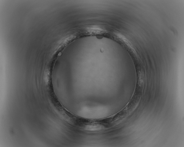 X0000113590451200909251139