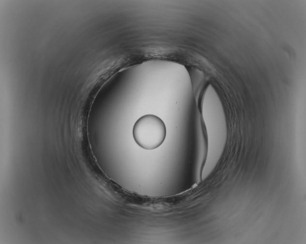 X0000113590452200909251139