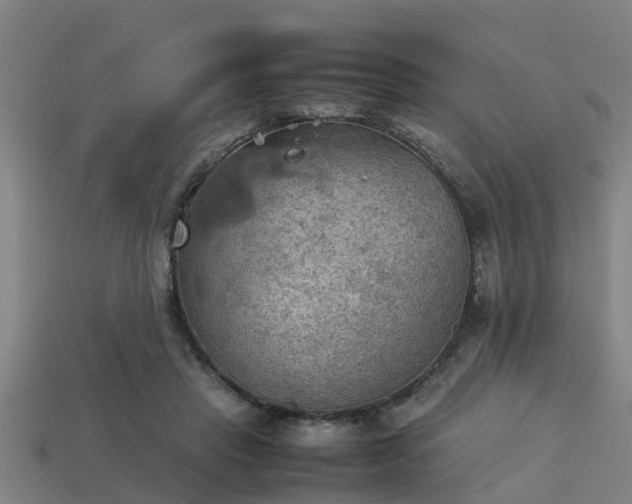 X0000113590453200909251139