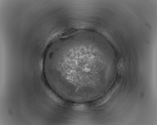 X0000113590454200909251139