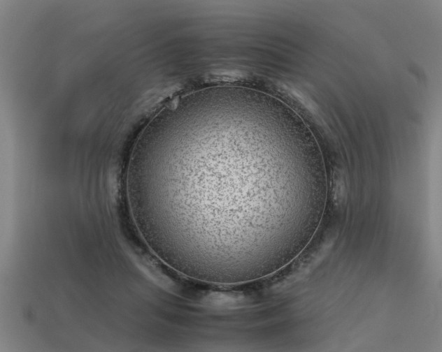 X0000113590455200909251139