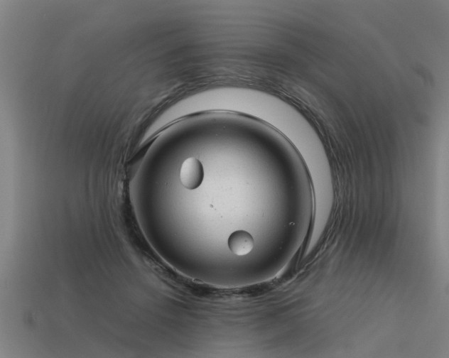 X0000113590456200909251139