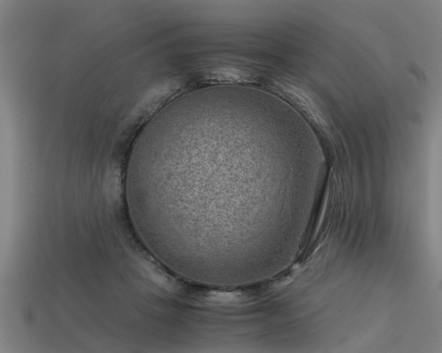 X0000113590457200909251139