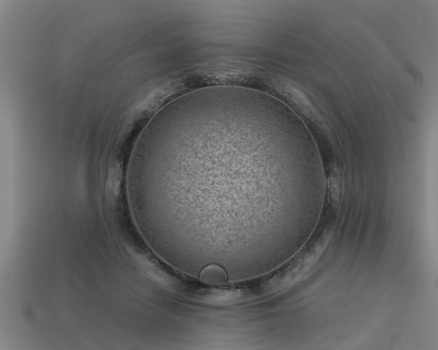 X0000113590458200909251139