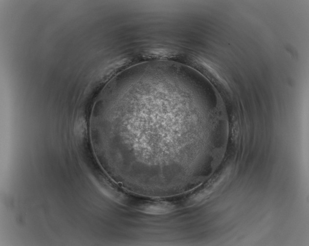 X0000113590459200909251139