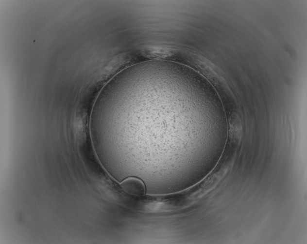 X0000113590460200909251139