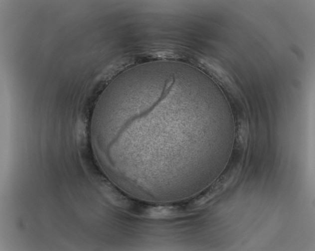 X0000113590461200909251139