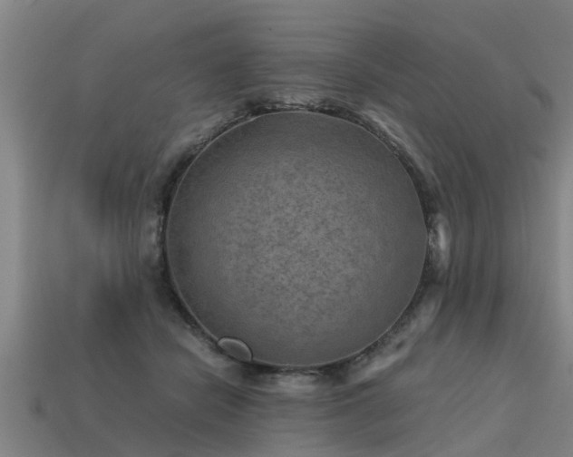 X0000113590462200909251139