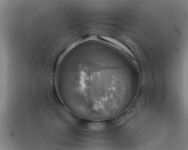 X0000113590465200909251139