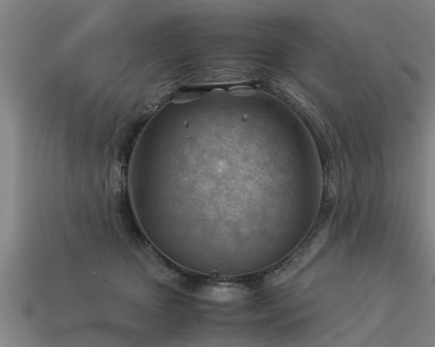 X0000113590467200909251139