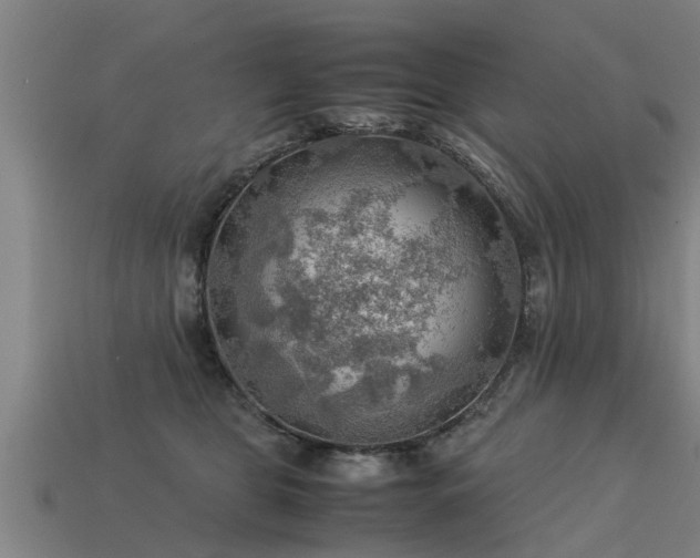 X0000113590469200909251139