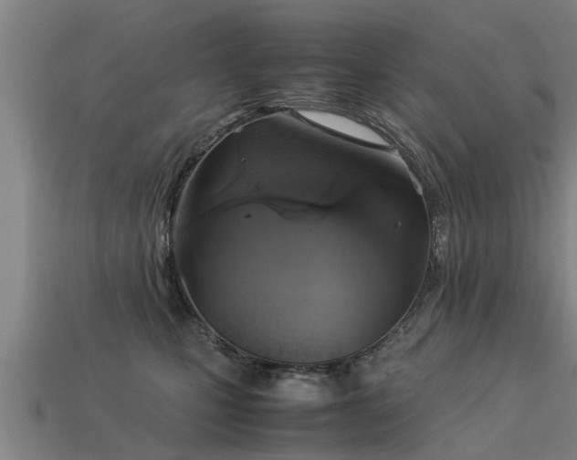 X0000113590471200909251139