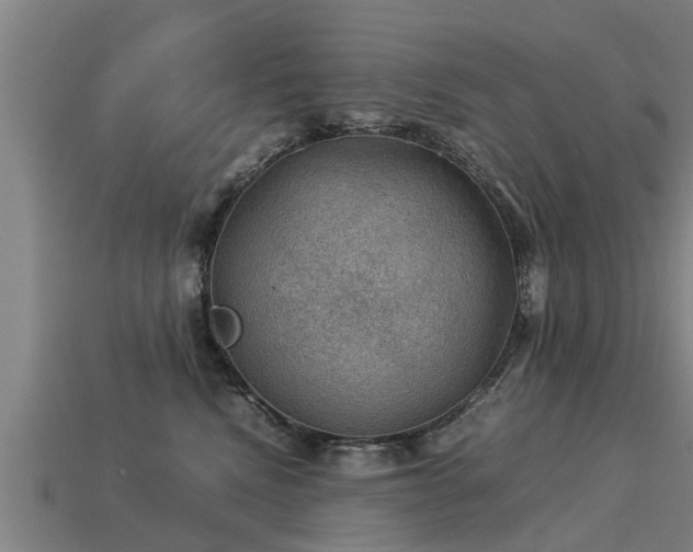 X0000113590472200909251139