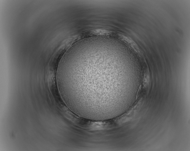 X0000113590473200909251139