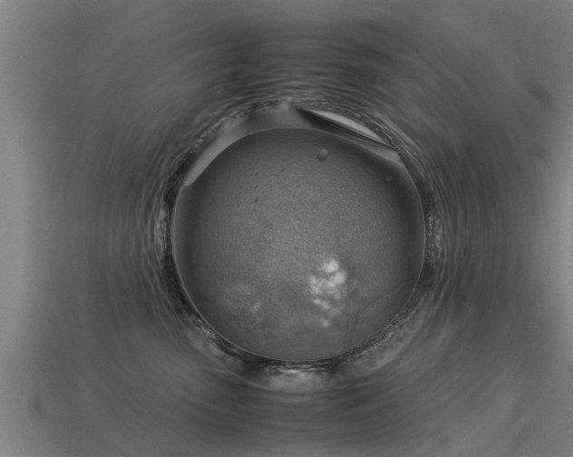 X0000113590475200909251139