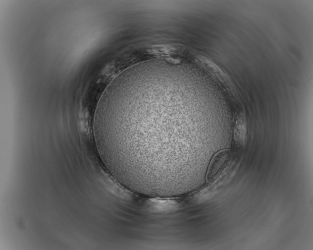 X0000113590477200909251139