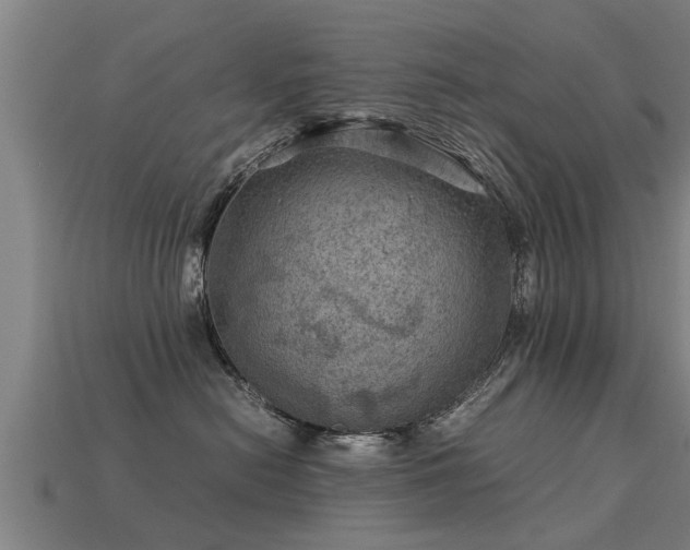 X0000113590478200909251139