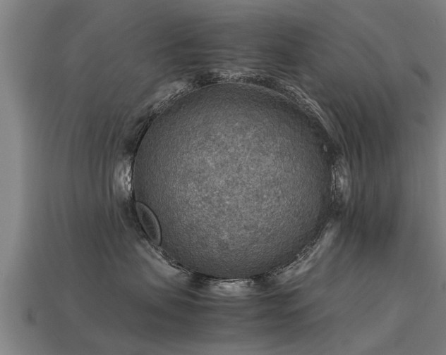 X0000113590479200909251139