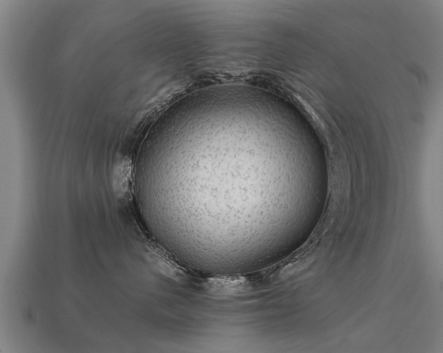 X0000113590480200909251139