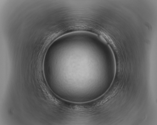 X0000113590481200909251139