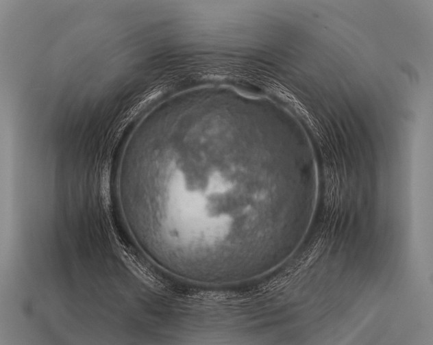 X0000113590482200909251139