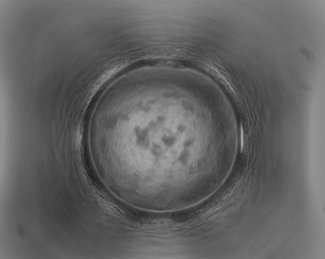 X0000113590483200909251139